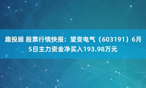 趣投顾 股票行情快报：望变电气（603191）6月5日主力资金净买入193.98万元
