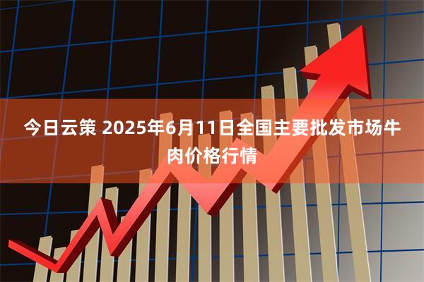 今日云策 2025年6月11日全国主要批发市场牛肉价格行情