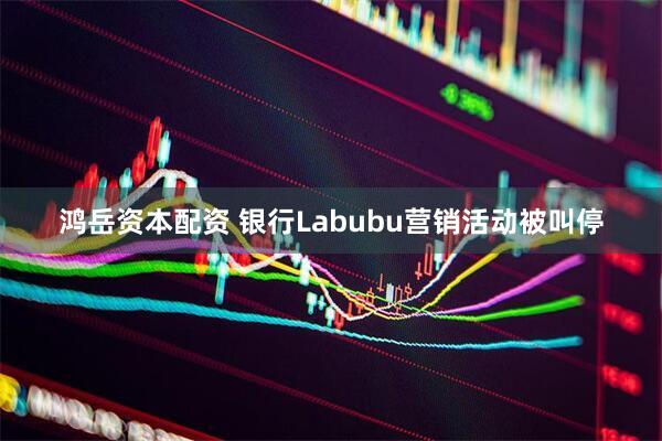 鸿岳资本配资 银行Labubu营销活动被叫停