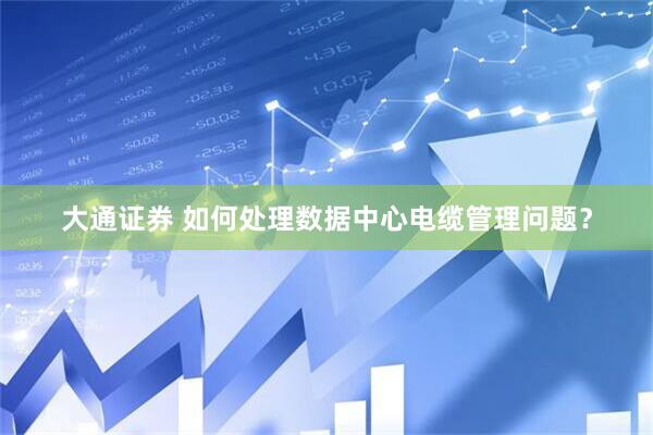 大通证券 如何处理数据中心电缆管理问题？
