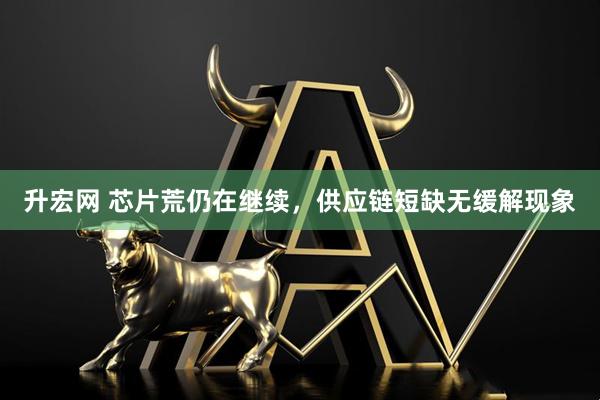 升宏网 芯片荒仍在继续，供应链短缺无缓解现象