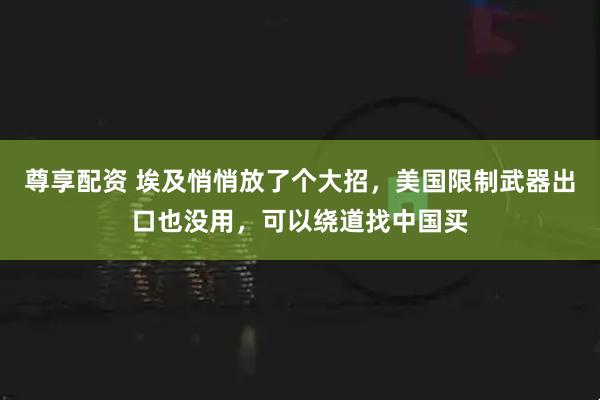 尊享配资 埃及悄悄放了个大招，美国限制武器出口也没用，可以绕道找中国买