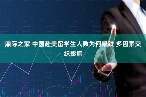 鼎际之家 中国赴美留学生人数为何暴跌 多因素交织影响