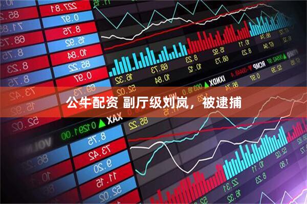 公牛配资 副厅级刘岚，被逮捕