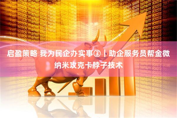 启盈策略 我为民企办实事③｜助企服务员帮金微纳米攻克卡脖子技术