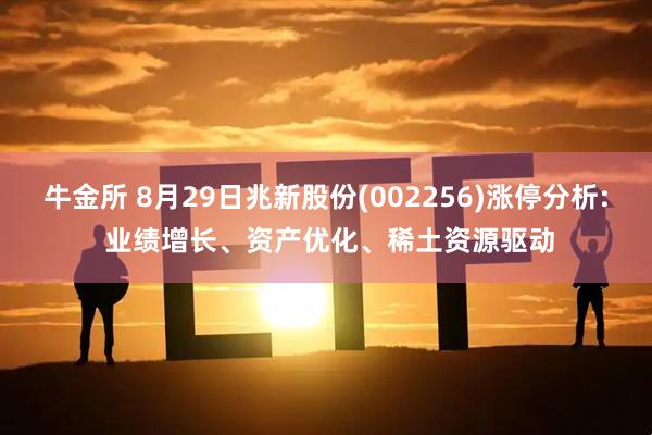 牛金所 8月29日兆新股份(002256)涨停分析: 业绩增长、资产优化、稀土资源驱动